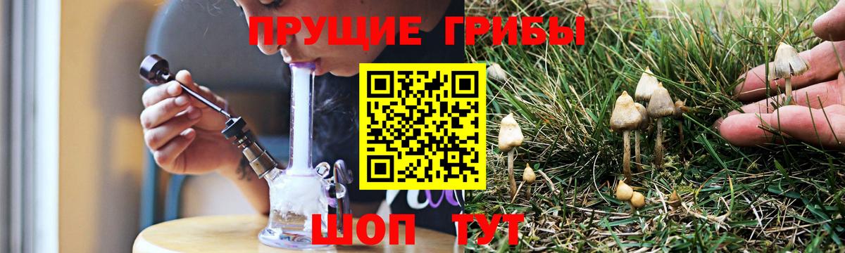 Псилоцибиновые грибы ЛСД Печора